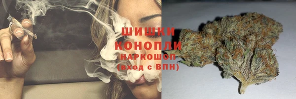 твердый Белокуриха